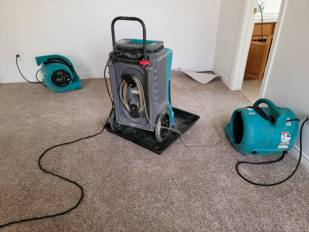 Professional Water damage restoration in CA