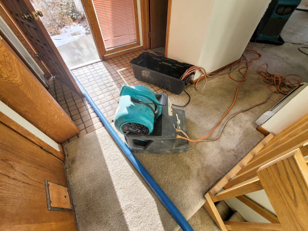 Best Water damage restoration company  in Fullerton, CA