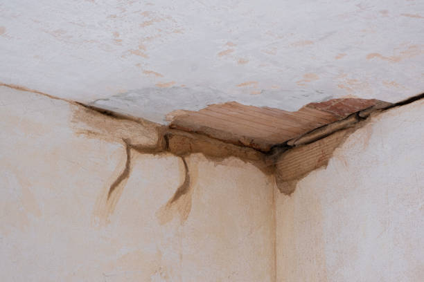 Best Mold removal after water damage  in Fullerton, CA