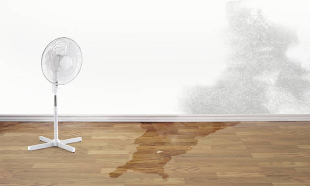 Best Ceiling water damage repair  in Fullerton, CA