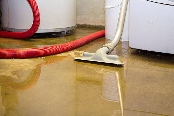 Best Water damage repair service  in Fullerton, CA