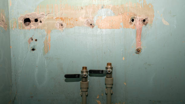 Best Sewage cleanup and water damage restoration  in Fullerton, CA
