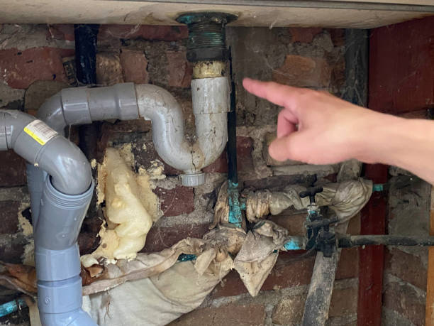 Best Water damage contractors near me  in Fullerton, CA